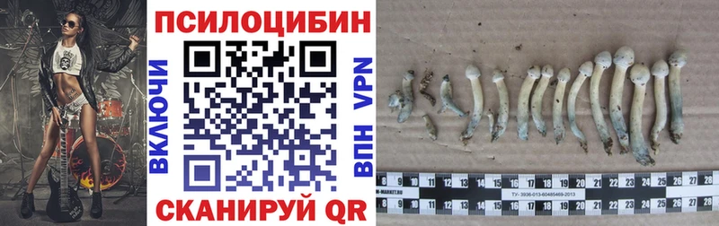 купить   Обь  Галлюциногенные грибы мухоморы 